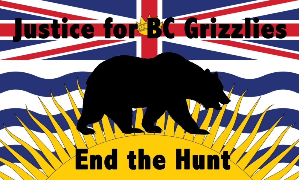 BC flag &amp; bear
