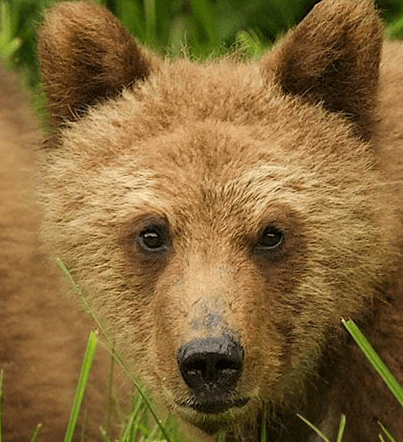 screen-shot-2016-12-03-at-7-07-04-pm